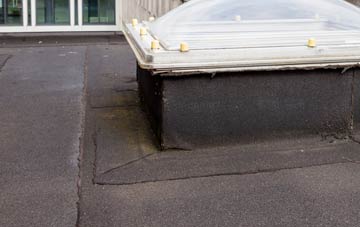 disadvantages of Balemore flat roofs